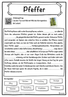 Vorschau - Unterrichtsreihen - Pfeffer Lückentext mit Wortspeicher Hörverstehen und Suchsel - Seite 1
