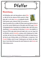 Vorschau - Unterrichtsreihen - Pfeffer Lückentext mit Wortspeicher Hörverstehen und Suchsel - Seite 2