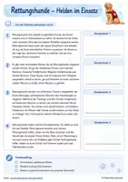 Vorschau - Arbeitsblätter - Helden im Einsatz | Sachtext mit Arbeitsaufträgen / Rettungshunde - Seite 2