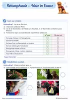 Vorschau - Arbeitsblätter - Helden im Einsatz | Sachtext mit Arbeitsaufträgen / Rettungshunde - Seite 3