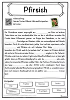 Vorschau - Unterrichtsreihen - Pfirsich Lückentext mit Wortspeicher Hörverstehen und Suchsel - Seite 1