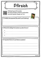 Vorschau - Unterrichtsreihen - Pfirsich Lückentext mit Wortspeicher Hörverstehen und Suchsel - Seite 3