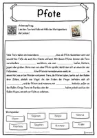 Vorschau - Unterrichtsreihen - Pfote Lückentext mit Wortspeicher Hörverstehen und Suchsel - Seite 1