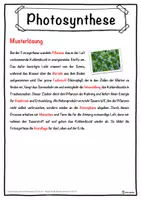 Vorschau - Unterrichtsreihen - Photosynthese Lückentext mit Wortspeicher Hörverstehen und Suchsel - Seite 2