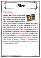 Vorschau - Unterrichtsreihen - Pilze Lückentext mit Wortspeicher Hörverstehen und Suchsel - Seite 2