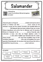 Vorschau - Unterrichtsreihen - Salamander Lückentext mit Wortspeicher Hörverstehen und Suchsel - Seite 1