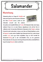 Vorschau - Unterrichtsreihen - Salamander Lückentext mit Wortspeicher Hörverstehen und Suchsel - Seite 2