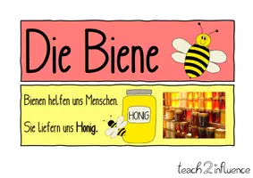 Vorschau - Unterrichtsreihen - Unterrichtsreihe Biene - Seite 3