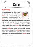 Vorschau - Unterrichtsreihen - Salat Lückentext mit Wortspeicher Hörverstehen und Suchsel - Seite 2