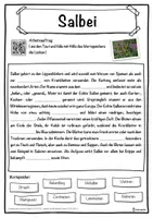 Vorschau - Unterrichtsreihen - Salbei Lückentext mit Wortspeicher Hörverstehen und Suchsel - Seite 1