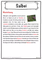 Vorschau - Unterrichtsreihen - Salbei Lückentext mit Wortspeicher Hörverstehen und Suchsel - Seite 2