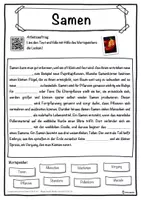 Vorschau - Unterrichtsreihen - Samen Lückentext mit Wortspeicher Hörverstehen und Suchsel - Seite 1