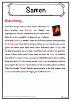 Vorschau - Unterrichtsreihen - Samen Lückentext mit Wortspeicher Hörverstehen und Suchsel - Seite 2