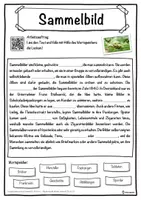 Vorschau - Unterrichtsreihen - Sammelbild Lückentext mit Wortspeicher Hörverstehen und Suchsel - Seite 1