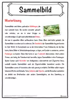 Vorschau - Unterrichtsreihen - Sammelbild Lückentext mit Wortspeicher Hörverstehen und Suchsel - Seite 2
