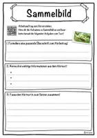 Vorschau - Unterrichtsreihen - Sammelbild Lückentext mit Wortspeicher Hörverstehen und Suchsel - Seite 3