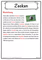 Vorschau - Unterrichtsreihen - Zecken Lückentext mit Wortspeicher Hörverstehen und Suchsel - Seite 2