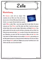Vorschau - Unterrichtsreihen - Zelle Lückentext mit Wortspeicher Hörverstehen und Suchsel - Seite 2