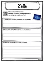 Vorschau - Unterrichtsreihen - Zelle Lückentext mit Wortspeicher Hörverstehen und Suchsel - Seite 3