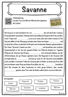 Vorschau - Unterrichtsreihen - Savanne Lückentext mit Wortspeicher Hörverstehen und Suchsel - Seite 1