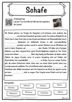 Vorschau - Unterrichtsreihen - Schafe Lückentext mit Wortspeicher Hörverstehen und Suchsel - Seite 1