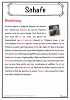 Vorschau - Unterrichtsreihen - Schafe Lückentext mit Wortspeicher Hörverstehen und Suchsel - Seite 2