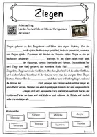 Vorschau - Unterrichtsreihen - Ziegen Lückentext mit Wortspeicher Hörverstehen und Suchsel - Seite 1