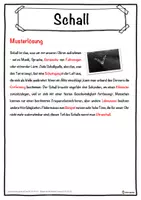 Vorschau - Unterrichtsreihen - Schall Lückentext mit Wortspeicher Hörverstehen und Suchsel - Seite 2