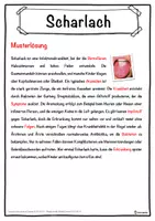 Vorschau - Unterrichtsreihen - Scharlach Lückentext mit Wortspeicher Hörverstehen und Suchsel - Seite 2