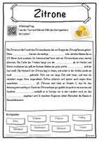 Vorschau - Unterrichtsreihen - Zitrone Lückentext mit Wortspeicher Hörverstehen und Suchsel - Seite 1