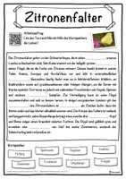 Vorschau - Unterrichtsreihen - Zitronenfalter Lückentext mit Wortspeicher Hörverstehen und Suchsel - Seite 1