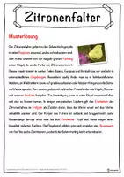 Vorschau - Unterrichtsreihen - Zitronenfalter Lückentext mit Wortspeicher Hörverstehen und Suchsel - Seite 2
