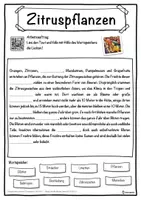 Vorschau - Unterrichtsreihen - Zitruspflanzen Lückentext mit Wortspeicher Hörverstehen und Suchsel - Seite 1