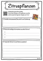 Vorschau - Unterrichtsreihen - Zitruspflanzen Lückentext mit Wortspeicher Hörverstehen und Suchsel - Seite 3