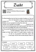 Vorschau - Unterrichtsreihen - Zucht Lückentext mit Wortspeicher Hörverstehen und Suchsel - Seite 1