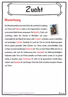 Vorschau - Unterrichtsreihen - Zucht Lückentext mit Wortspeicher Hörverstehen und Suchsel - Seite 2
