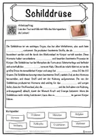 Vorschau - Unterrichtsreihen - Schilddrüse Lückentext mit Wortspeicher Hörverstehen und Suchsel - Seite 1