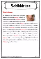 Vorschau - Unterrichtsreihen - Schilddrüse Lückentext mit Wortspeicher Hörverstehen und Suchsel - Seite 2