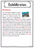 Vorschau - Unterrichtsreihen - Schildkröten Lückentext mit Wortspeicher Hörverstehen und Suchsel - Seite 2