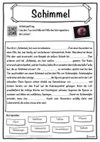 Vorschau - Unterrichtsreihen - Schimmel Lückentext mit Wortspeicher Hörverstehen und Suchsel - Seite 1