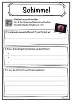 Vorschau - Unterrichtsreihen - Schimmel Lückentext mit Wortspeicher Hörverstehen und Suchsel - Seite 3