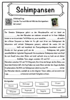 Vorschau - Unterrichtsreihen - Schimpansen Lückentext mit Wortspeicher Hörverstehen und Suchsel - Seite 1