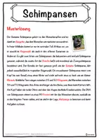 Vorschau - Unterrichtsreihen - Schimpansen Lückentext mit Wortspeicher Hörverstehen und Suchsel - Seite 2