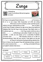 Vorschau - Unterrichtsreihen - Zunge Lückentext mit Wortspeicher Hörverstehen und Suchsel - Seite 1