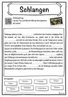Vorschau - Unterrichtsreihen - Schlangen Lückentext mit Wortspeicher Hörverstehen und Suchsel - Seite 1