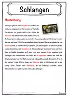 Vorschau - Unterrichtsreihen - Schlangen Lückentext mit Wortspeicher Hörverstehen und Suchsel - Seite 2