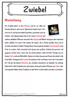 Vorschau - Unterrichtsreihen - Zwiebel Lückentext mit Wortspeicher Hörverstehen und Suchsel - Seite 2