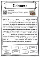 Vorschau - Unterrichtsreihen - Schmerz Lückentext mit Wortspeicher Hörverstehen und Suchsel - Seite 1