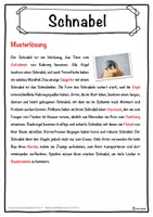 Vorschau - Unterrichtsreihen - Schnabel Lückentext mit Wortspeicher Hörverstehen und Suchsel - Seite 2