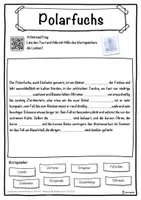 Vorschau - Unterrichtsreihen - Polarfuchs Lückentext mit Wortspeicher Hörverstehen und Suchsel - Seite 1